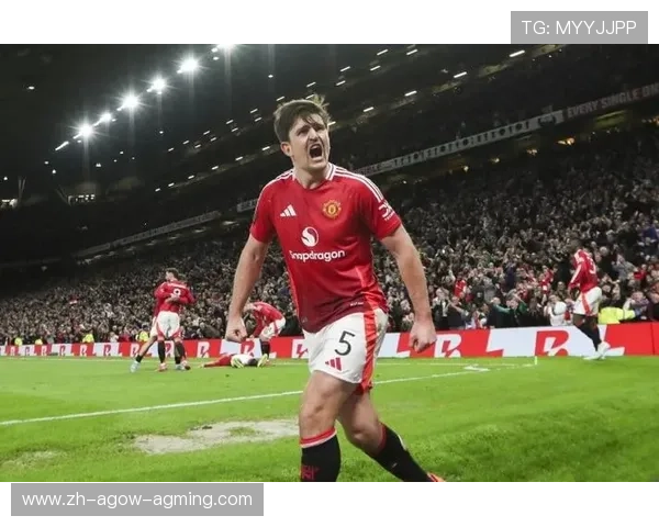 本赛季获得欧战资格的英超球队