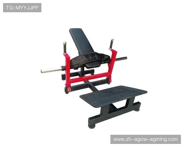 哪种健身器材更适合提臀训练?有效推荐